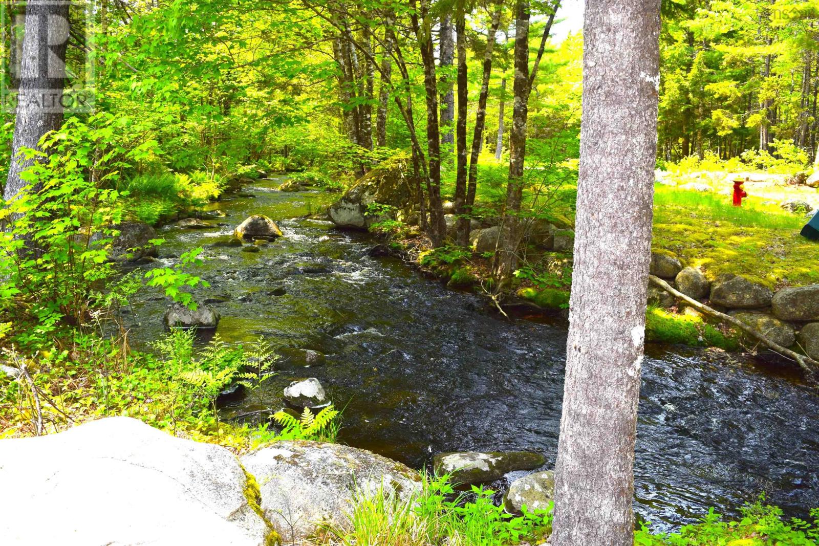 151 Second Brook Road, Western Shore, Nova Scotia  B0J 3M0 - Photo 10 - 202513521