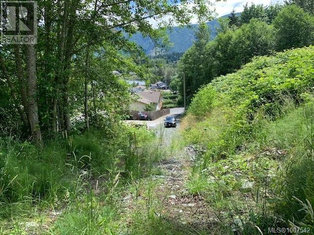 167 River Rd, Lake Cowichan, British Columbia  V0R 2G0 - Photo 2 - 1007542