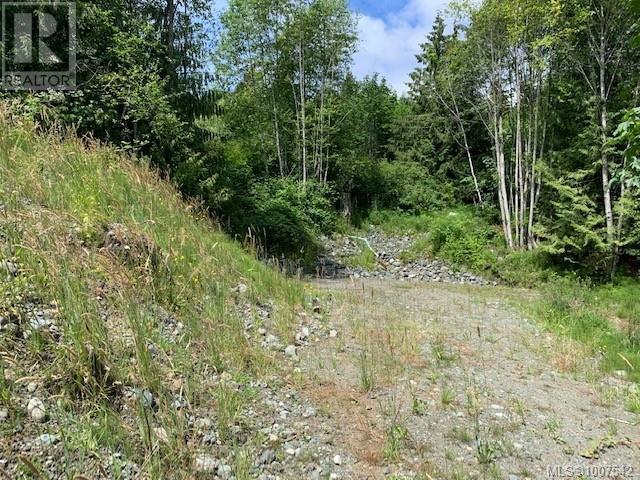 167 River Rd, Lake Cowichan, British Columbia  V0R 2G0 - Photo 4 - 1007542