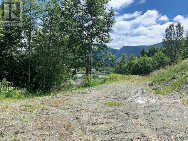 167 River Rd, Lake Cowichan, British Columbia  V0R 2G0 - Photo 5 - 1007542