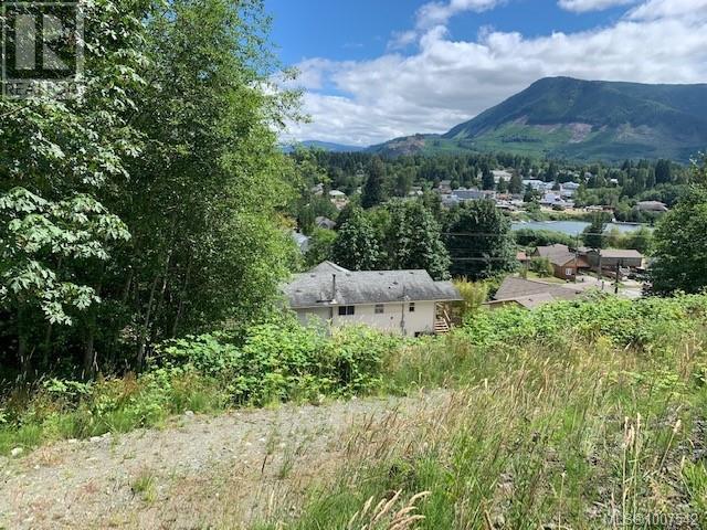 167 River Rd, Lake Cowichan, British Columbia  V0R 2G0 - Photo 9 - 1007542