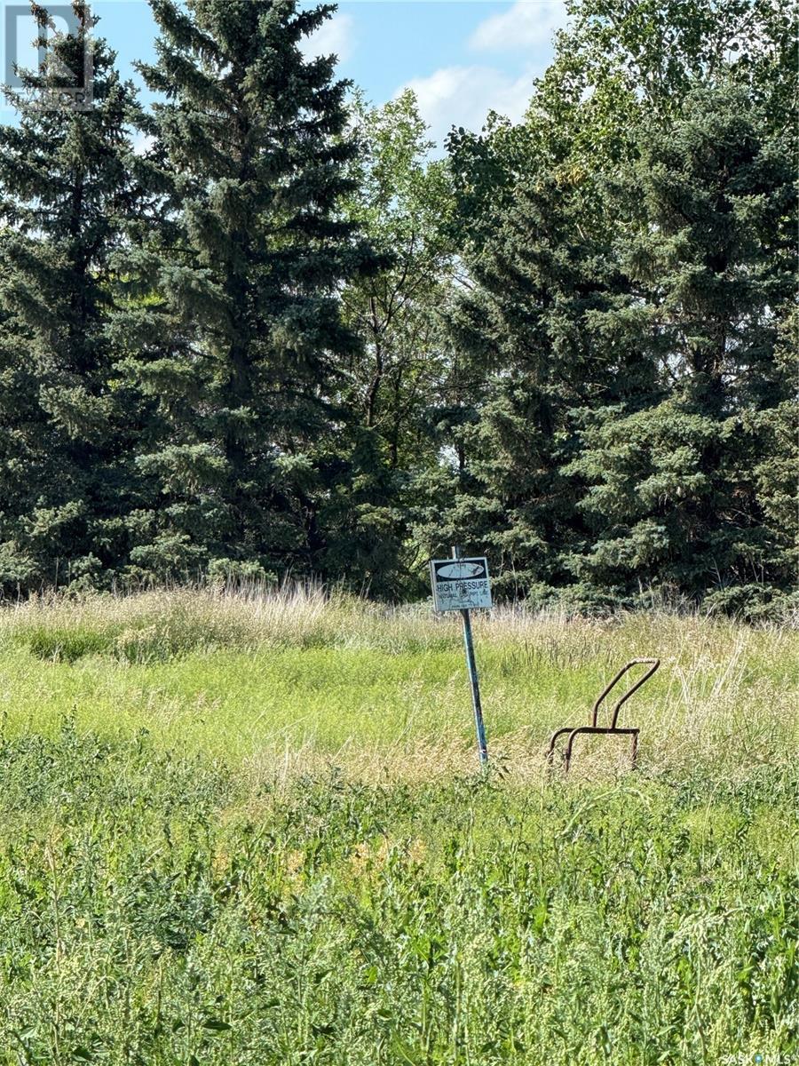 Sawatzky, Kindersley Rm No. 290, Saskatchewan  S0L 1S0 - Photo 3 - SK012656