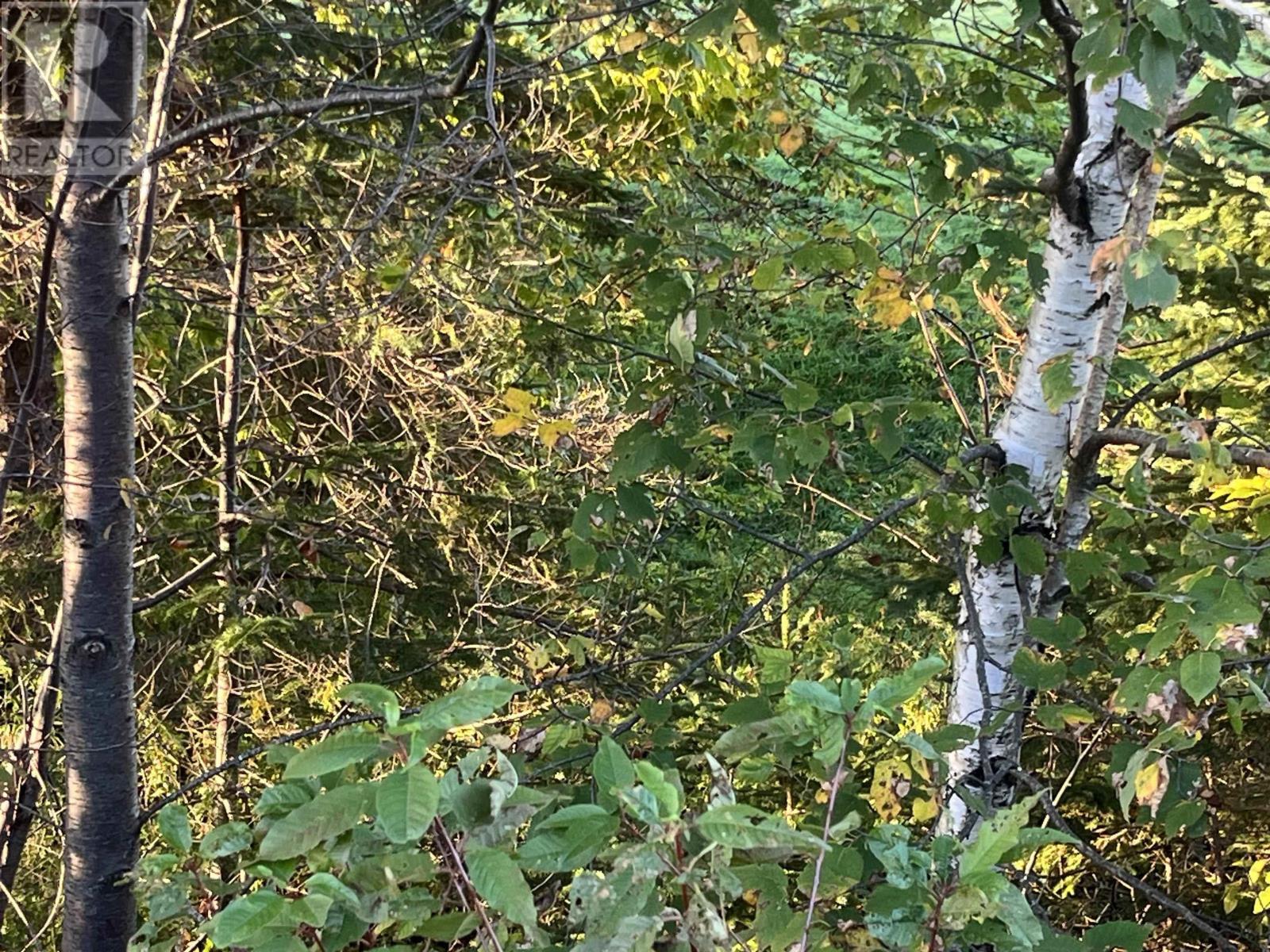 Lot 1 East Bay Highway, Big Pond, Nova Scotia  B1J 1Z4 - Photo 33 - 202321522