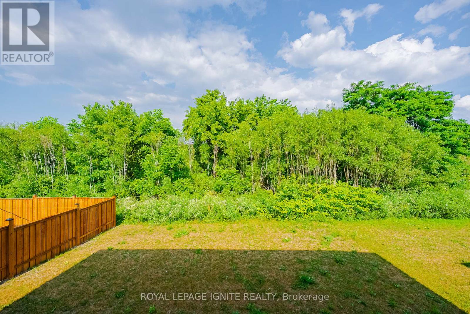 19 Butternut Drive, Norfolk, Ontario  N3Y 0G8 - Photo 40 - X12264611