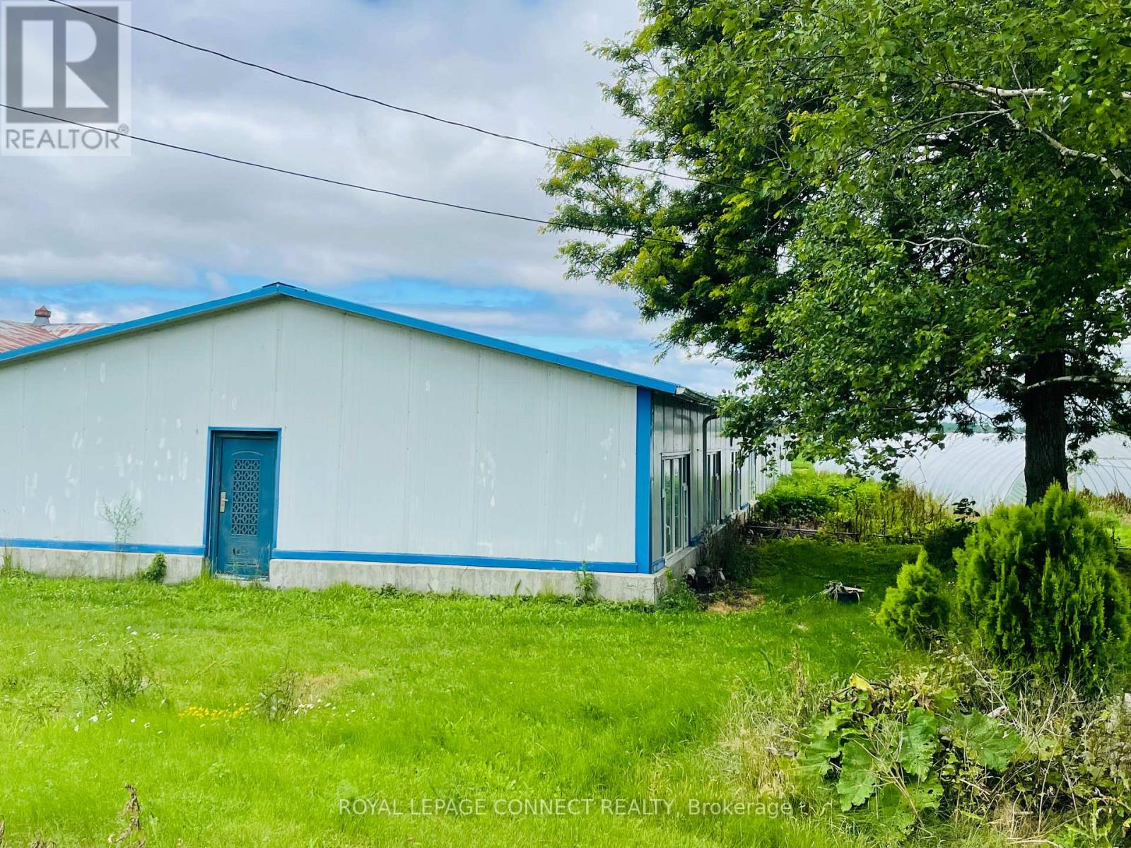 19470 Dufferin Street, King, Ontario  L3Y 4V9 - Photo 5 - N10426798