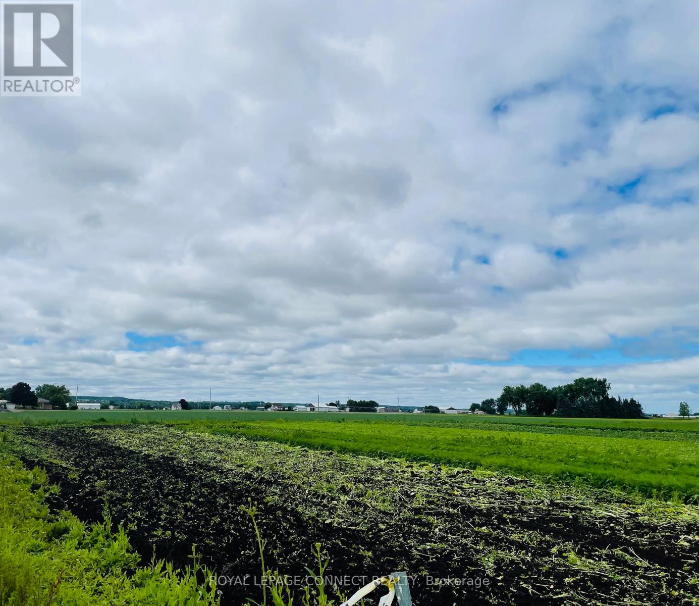 19470 Dufferin Street, King, Ontario  L3Y 4V9 - Photo 35 - N10426798