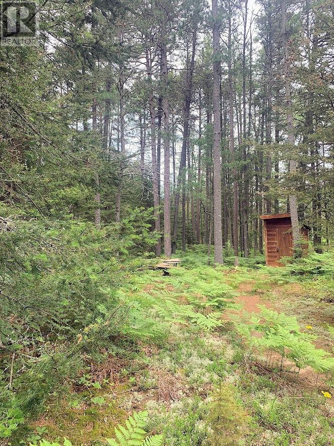 L17c3 Robinson Walkhouse Road, Manitoulin Island, Ontario  P0P 1Y0 - Photo 19 - 2123583