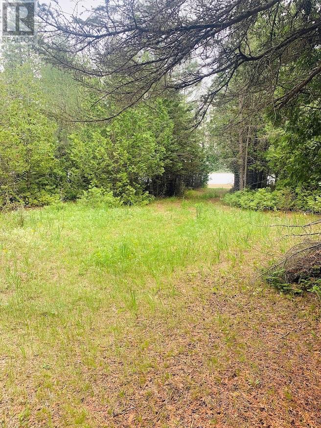 L17c3 Robinson Walkhouse Road, Manitoulin Island, Ontario  P0P 1Y0 - Photo 21 - 2123583