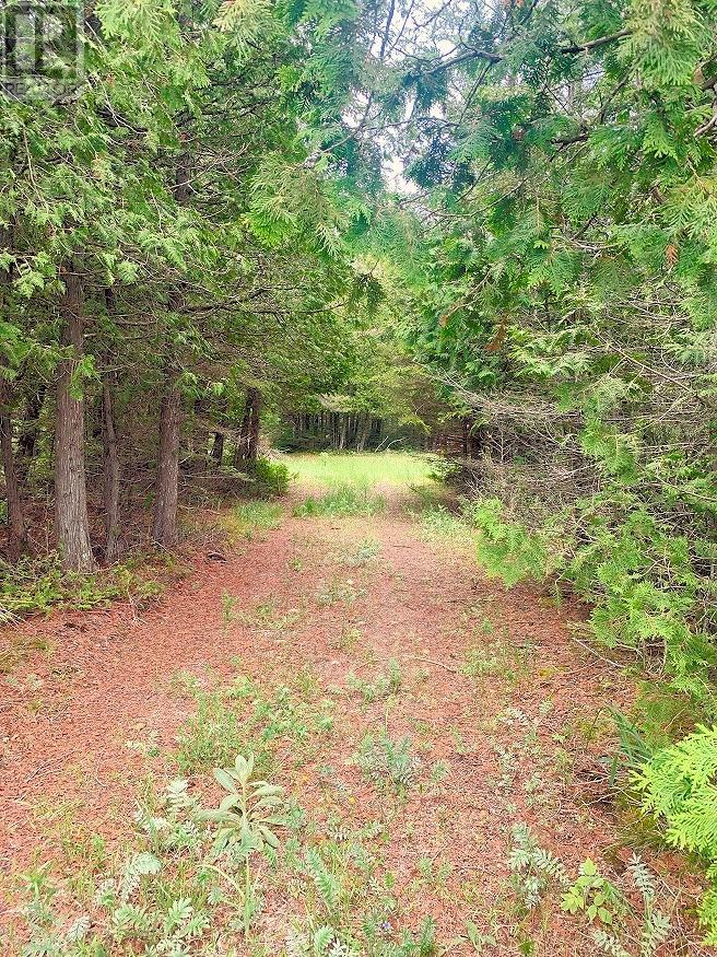 L17c3 Robinson Walkhouse Road, Manitoulin Island, Ontario  P0P 1Y0 - Photo 22 - 2123583