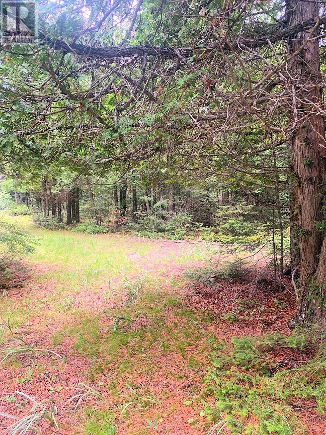 L17c3 Robinson Walkhouse Road, Manitoulin Island, Ontario  P0P 1Y0 - Photo 29 - 2123583