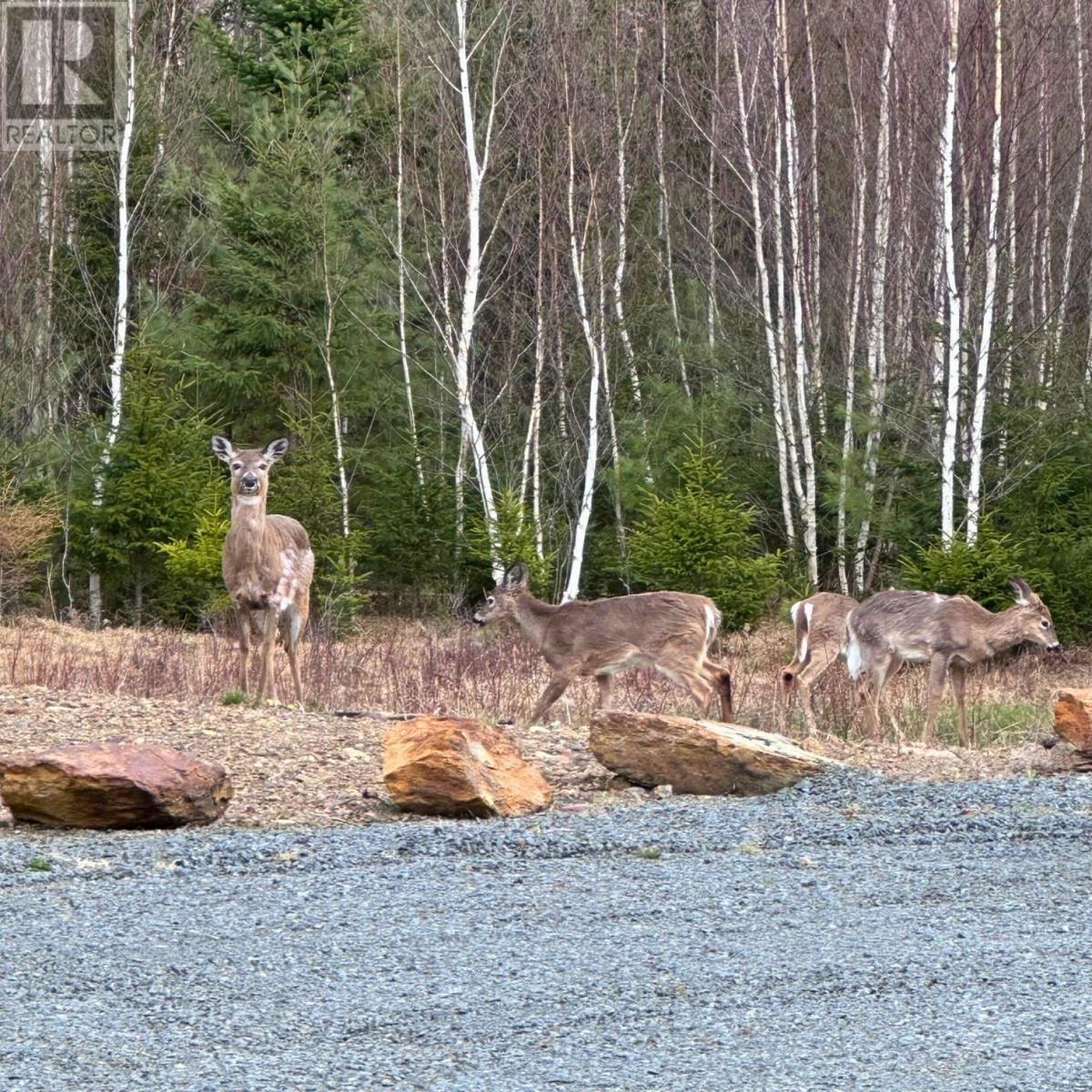 75 Danica Drive, Pine Grove, Nova Scotia  B4V 7Z2 - Photo 22 - 202508904