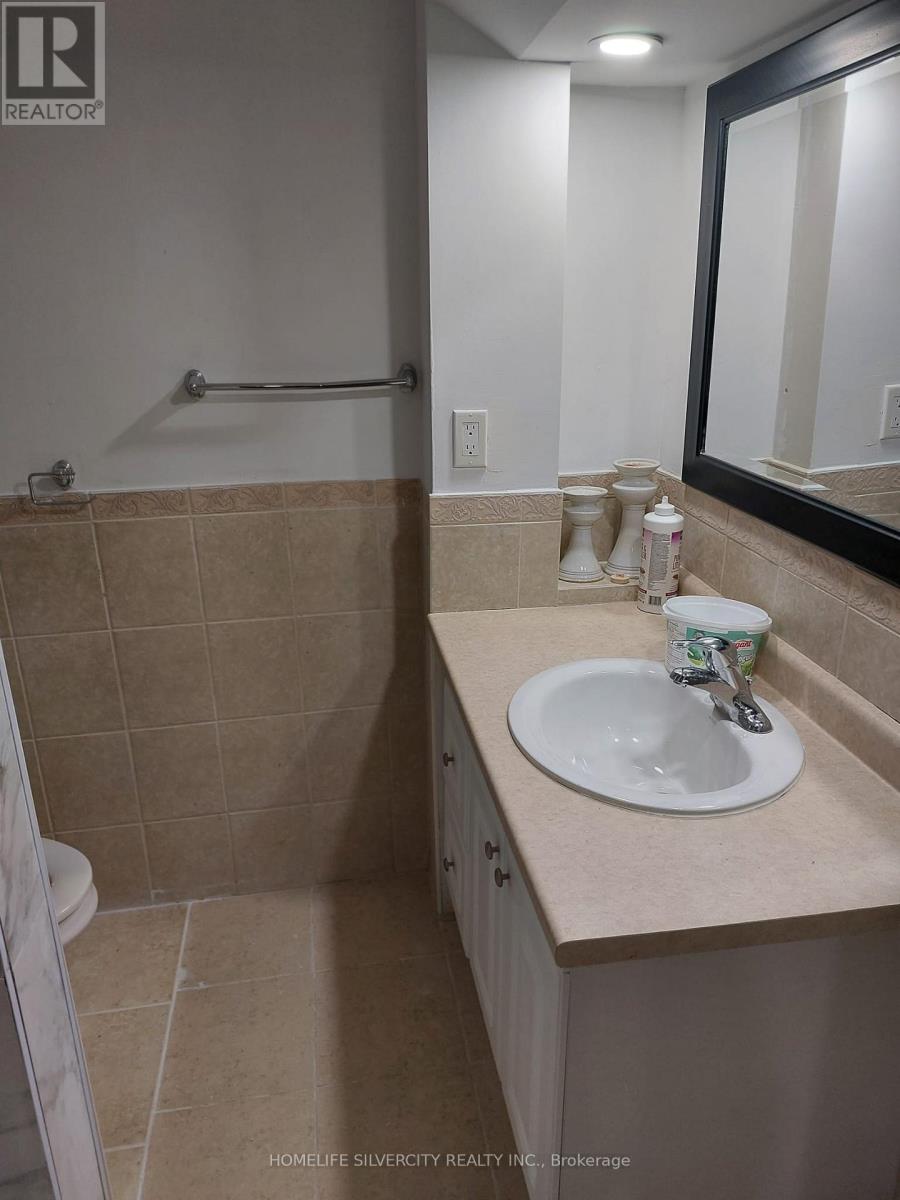 #basement - 17 Beresford Crescent, Brampton, Ontario  L6P 2M3 - Photo 12 - W12287212