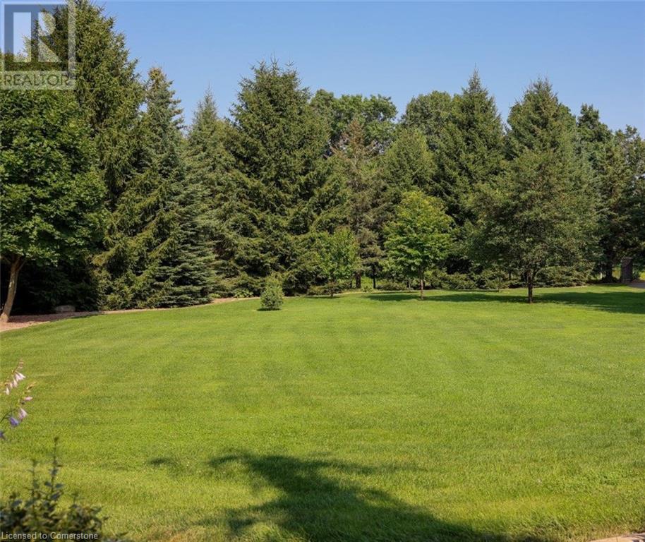 Property at 203 EAST RIVER Road image 2
