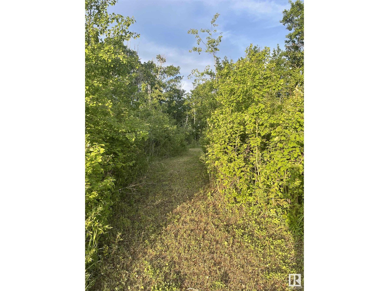 61023 Rg Rd 451, Rural Bonnyville M.d., Alberta  T9N 2G9 - Photo 10 - E4447935