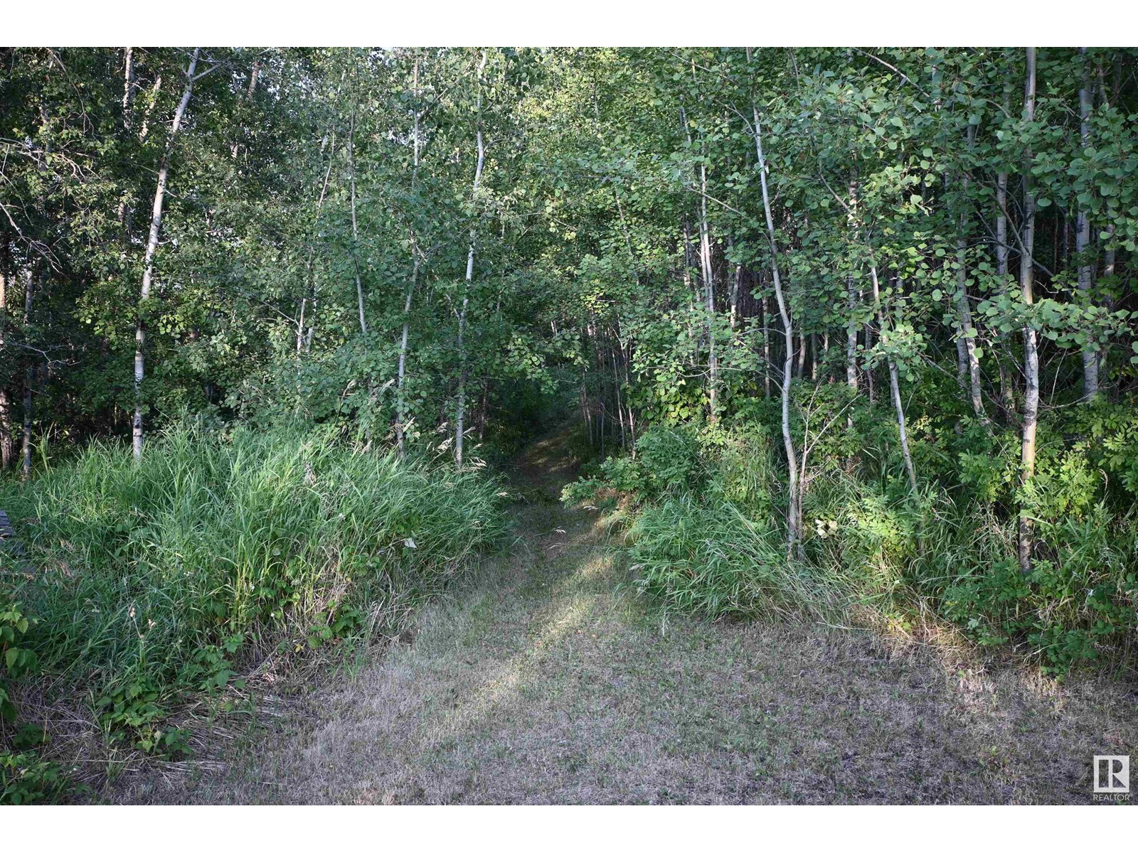 61023 Rg Rd 451, Rural Bonnyville M.d., Alberta  T9N 2G9 - Photo 3 - E4447935