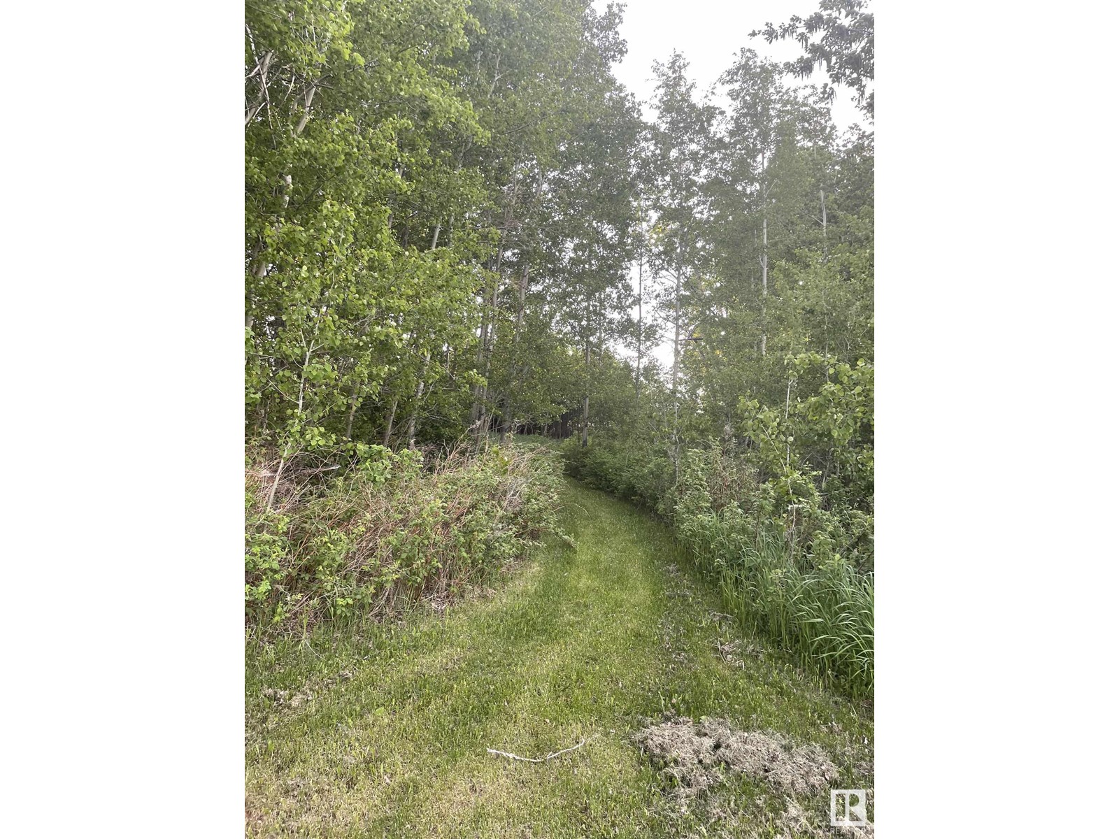 61023 Rg Rd 451, Rural Bonnyville M.d., Alberta  T9N 2G9 - Photo 5 - E4447935