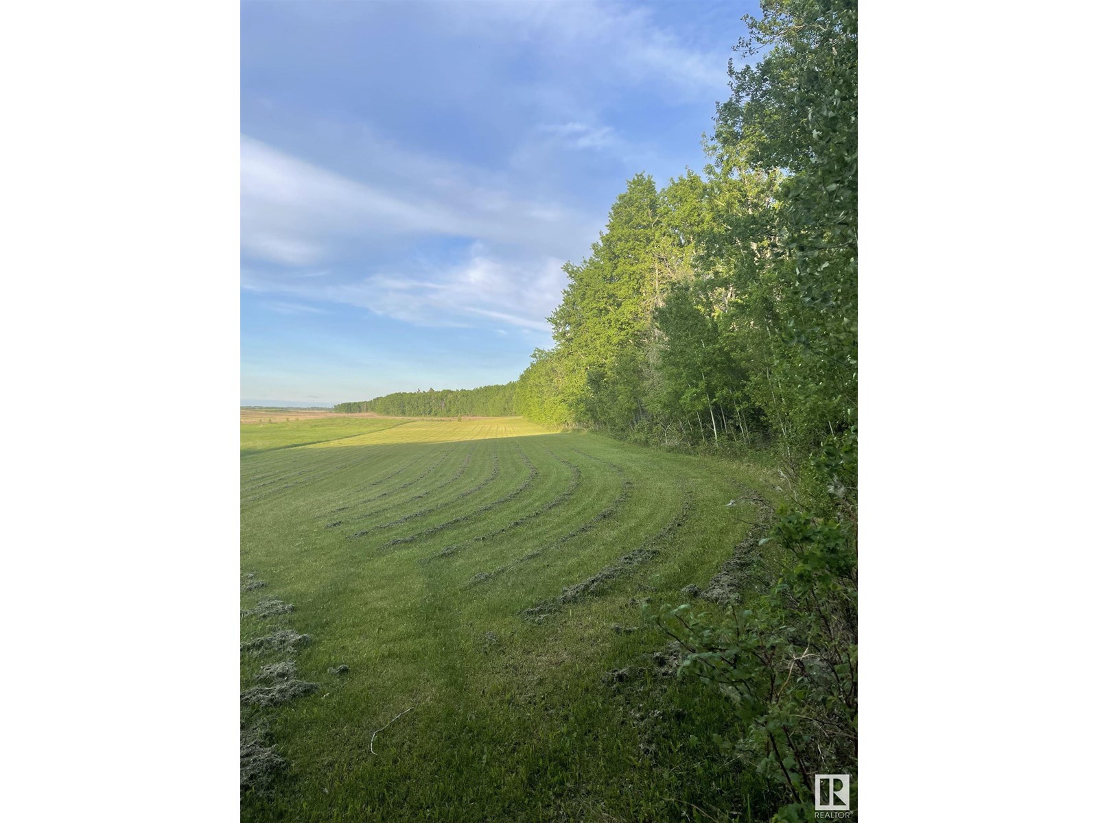 61023 Rg Rd 451, Rural Bonnyville M.d., Alberta  T9N 2G9 - Photo 6 - E4447935