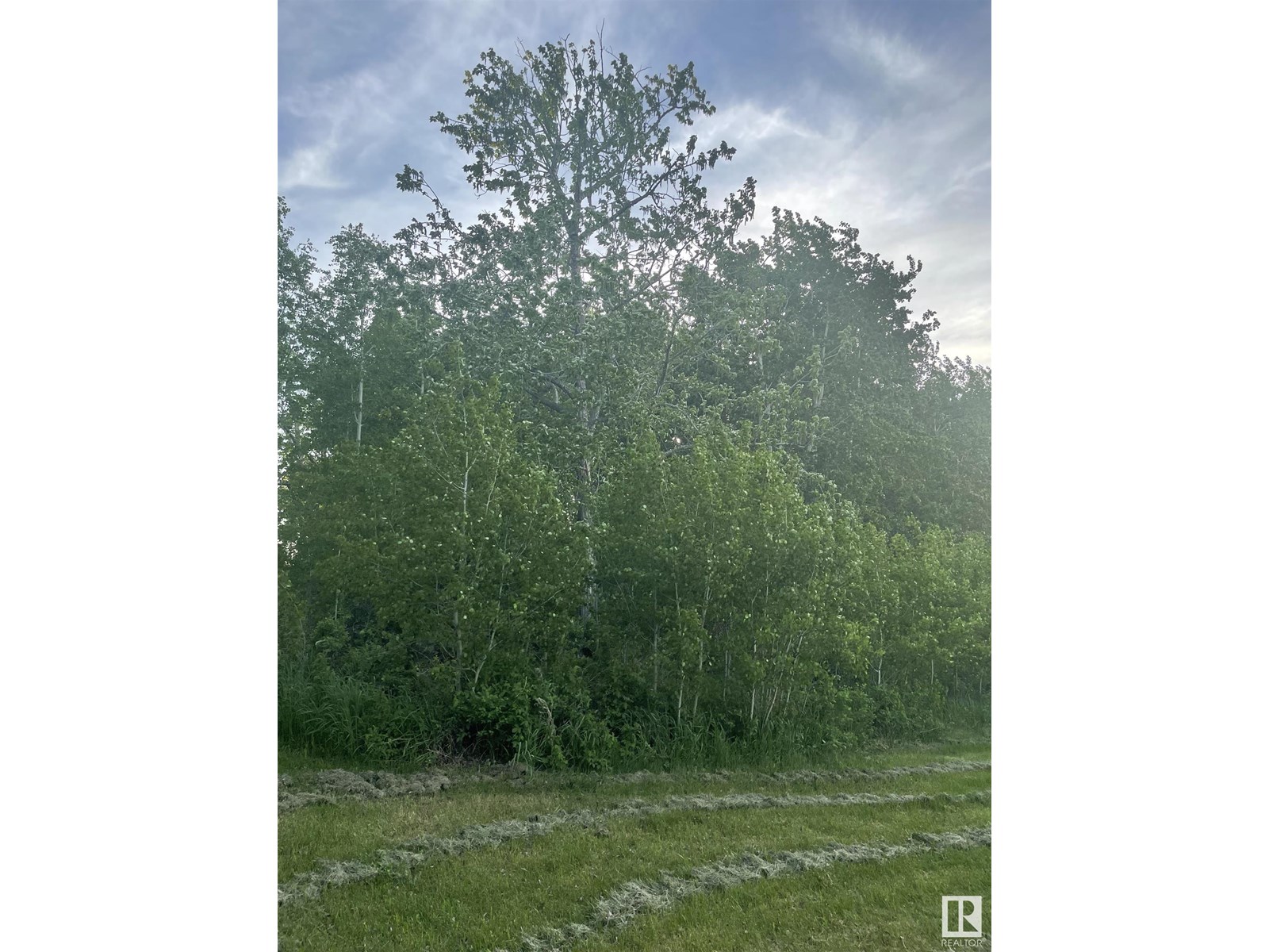 61023 Rg Rd 451, Rural Bonnyville M.d., Alberta  T9N 2G9 - Photo 8 - E4447935