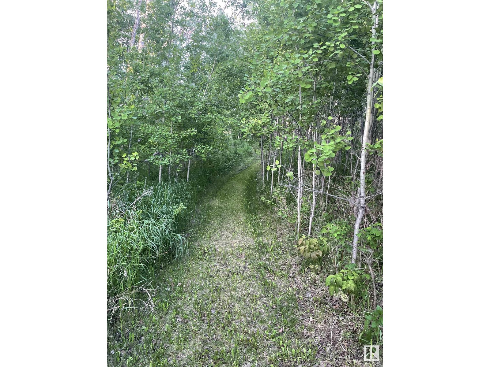 61023 Rg Rd 451, Rural Bonnyville M.d., Alberta  T9N 2G9 - Photo 9 - E4447935