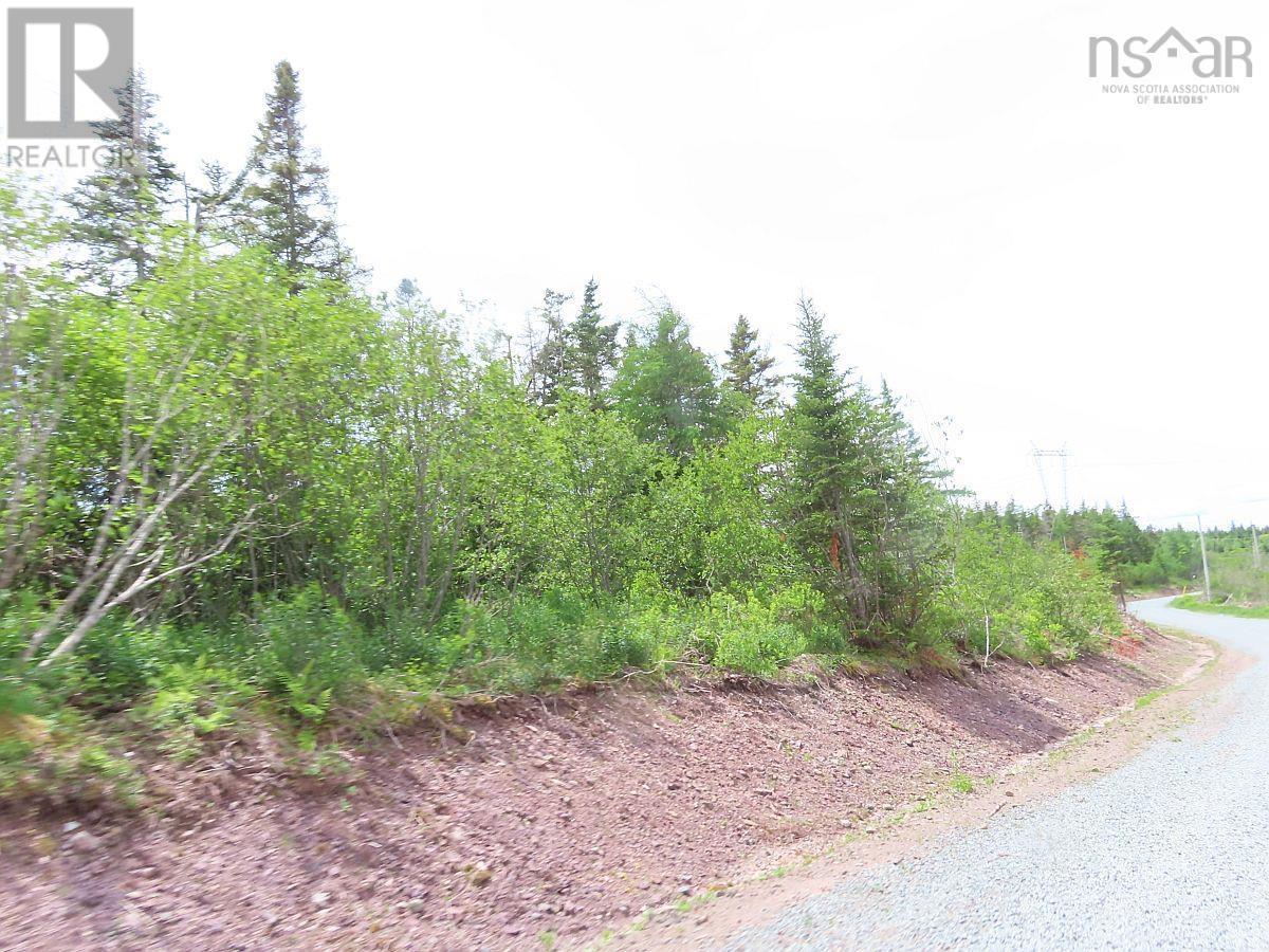 Lot 3 Rear Big Cove Road, Soldiers Cove, Nova Scotia  B0E 3B0 - Photo 7 - 202517506