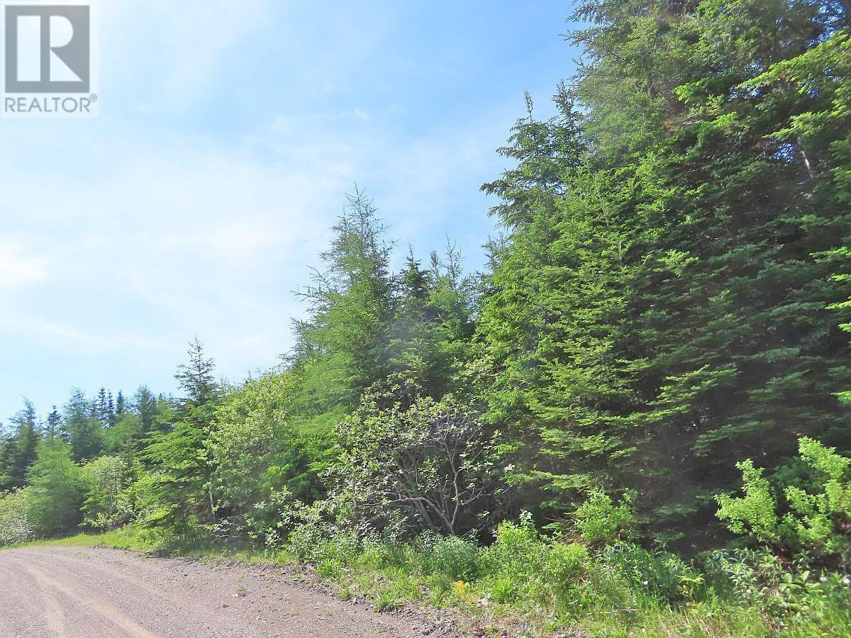 Lot 3 Rear Big Cove Road, Soldiers Cove, Nova Scotia  B0E 3B0 - Photo 5 - 202517506