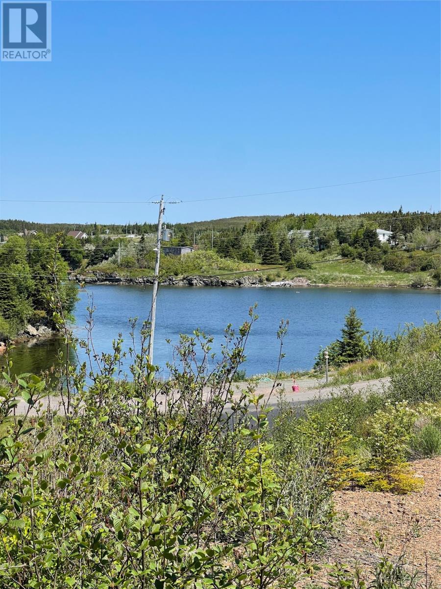 72 Dobers Road, Little Bay, Newfoundland & Labrador  A0E 2H0 - Photo 4 - 1268738