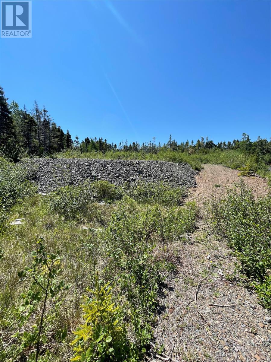 72 Dobers Road, Little Bay, Newfoundland & Labrador  A0E 2H0 - Photo 6 - 1268738