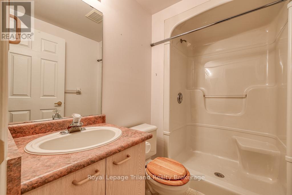 10 Armstrong Drive, Tillsonburg, Ontario  N4G 5T3 - Photo 22 - X12287504
