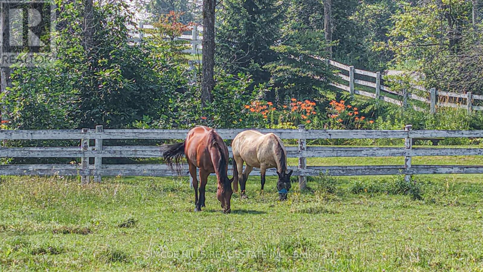 Co - 131 Courtland Street, Ramara, Ontario  L3V 6H7 - Photo 34 - S12287497