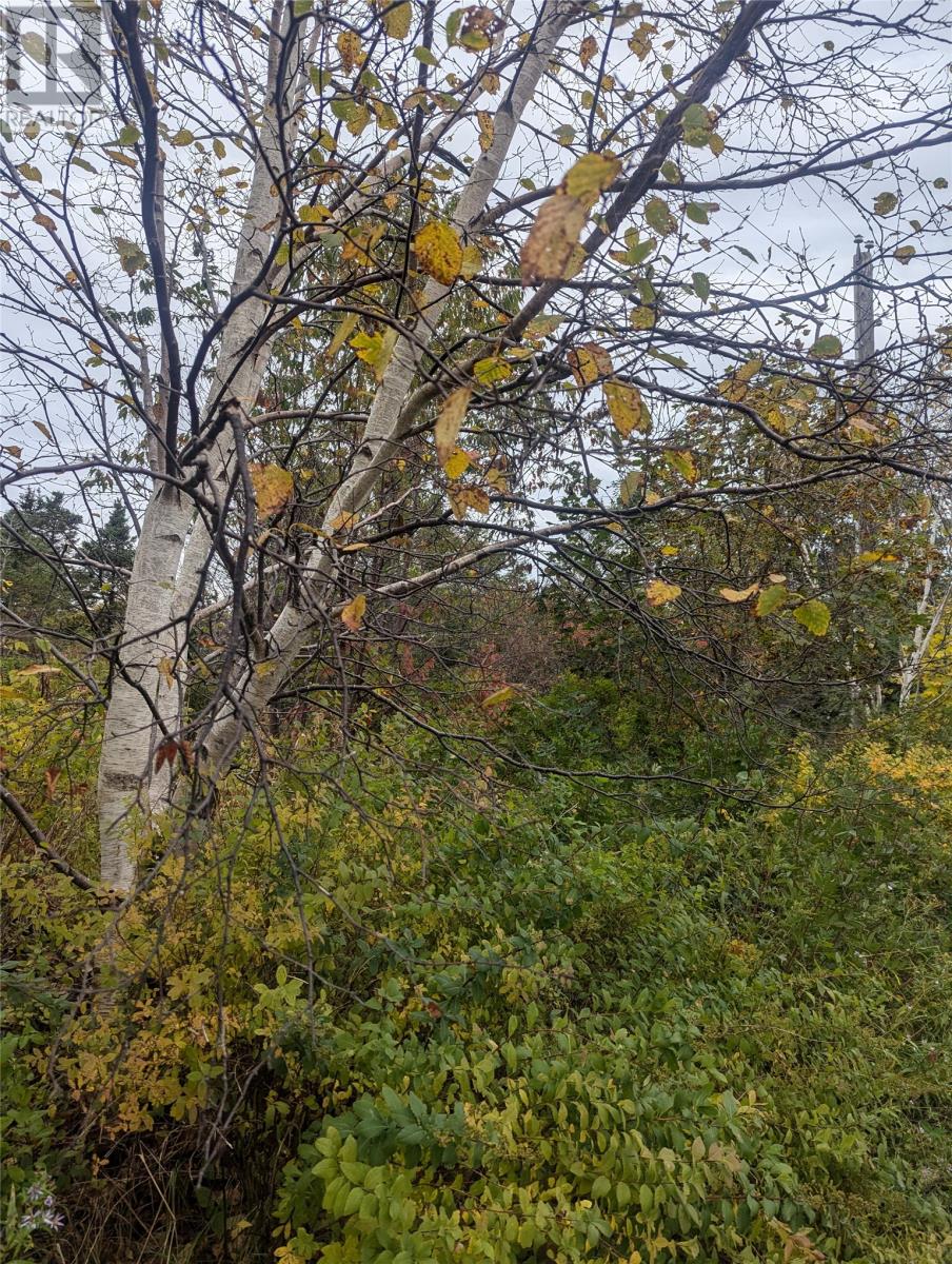 Property at 6-10 Parsons Place image 3