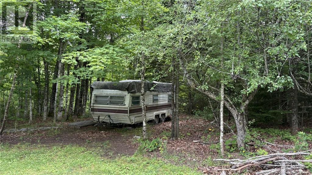0 Carty Road, Elgin, New Brunswick  E4Z 2H1 - Photo 31 - NB122694