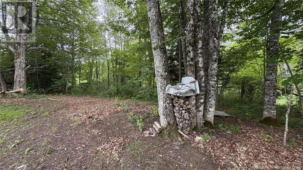0 Carty Road, Elgin, New Brunswick  E4Z 2H1 - Photo 36 - NB122694