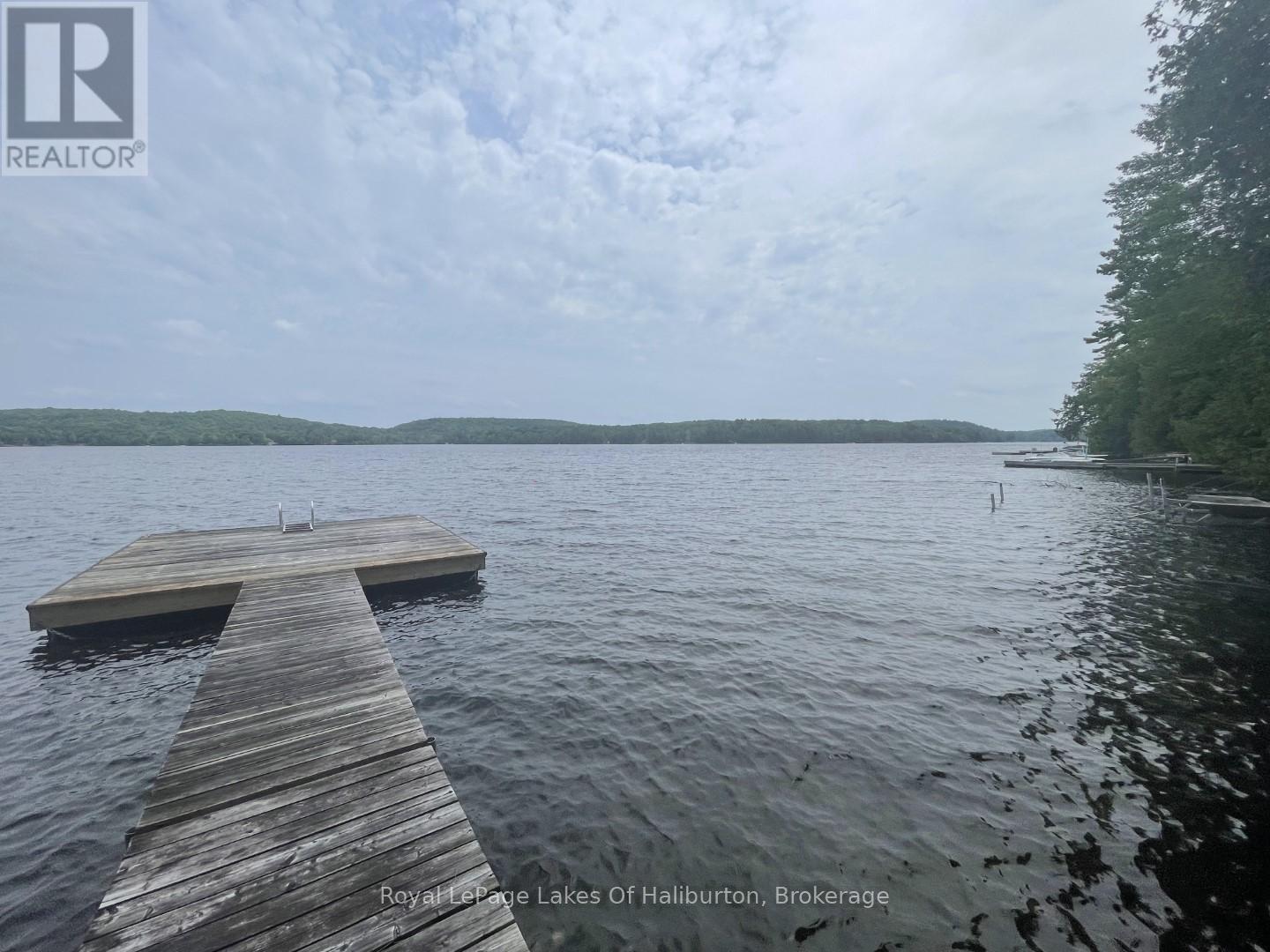 1010 Medley Trail, Minden Hills, Ontario  K0M 2K0 - Photo 26 - X12287870
