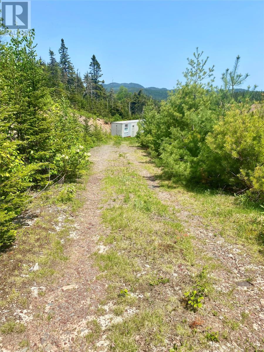 0 Second(Rexman's Harbour) Pond Resource Road, Burgoyne's Cove Area, Newfoundland & Labrador  A0C 1G0 - Photo 28 - 1287801