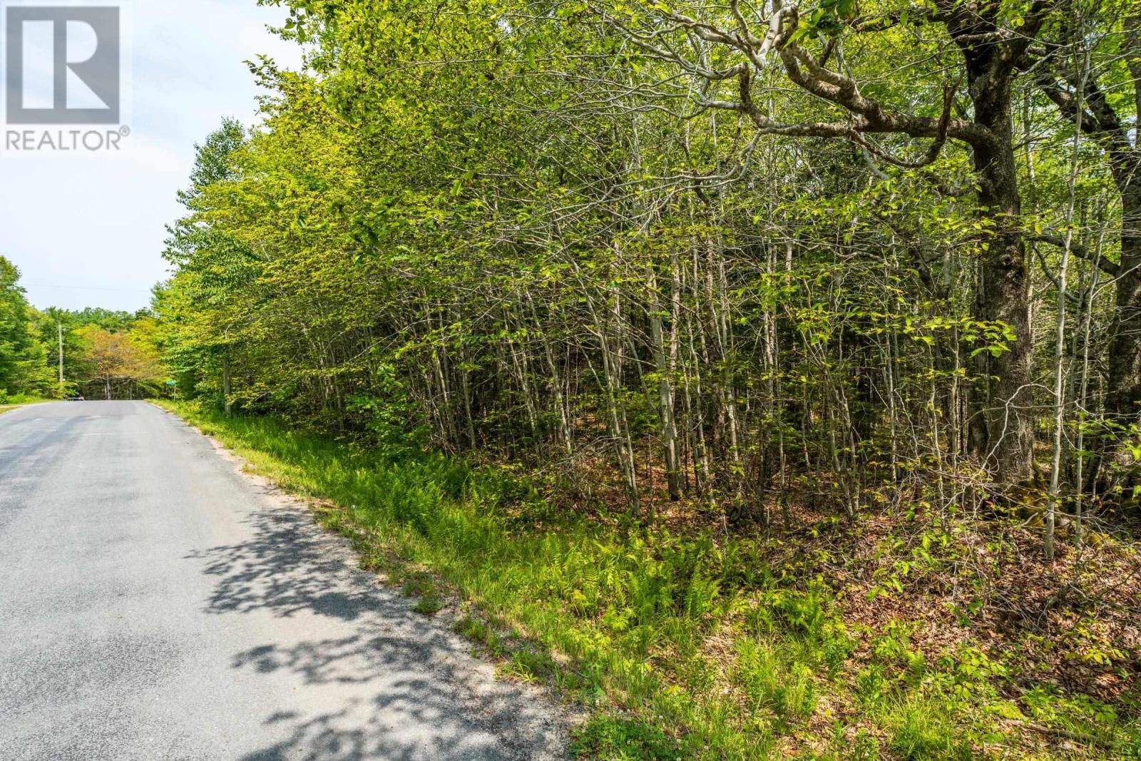 Lot D'entremont Road, Maxwellton, Nova Scotia  B0W 2L0 - Photo 8 - 202517766