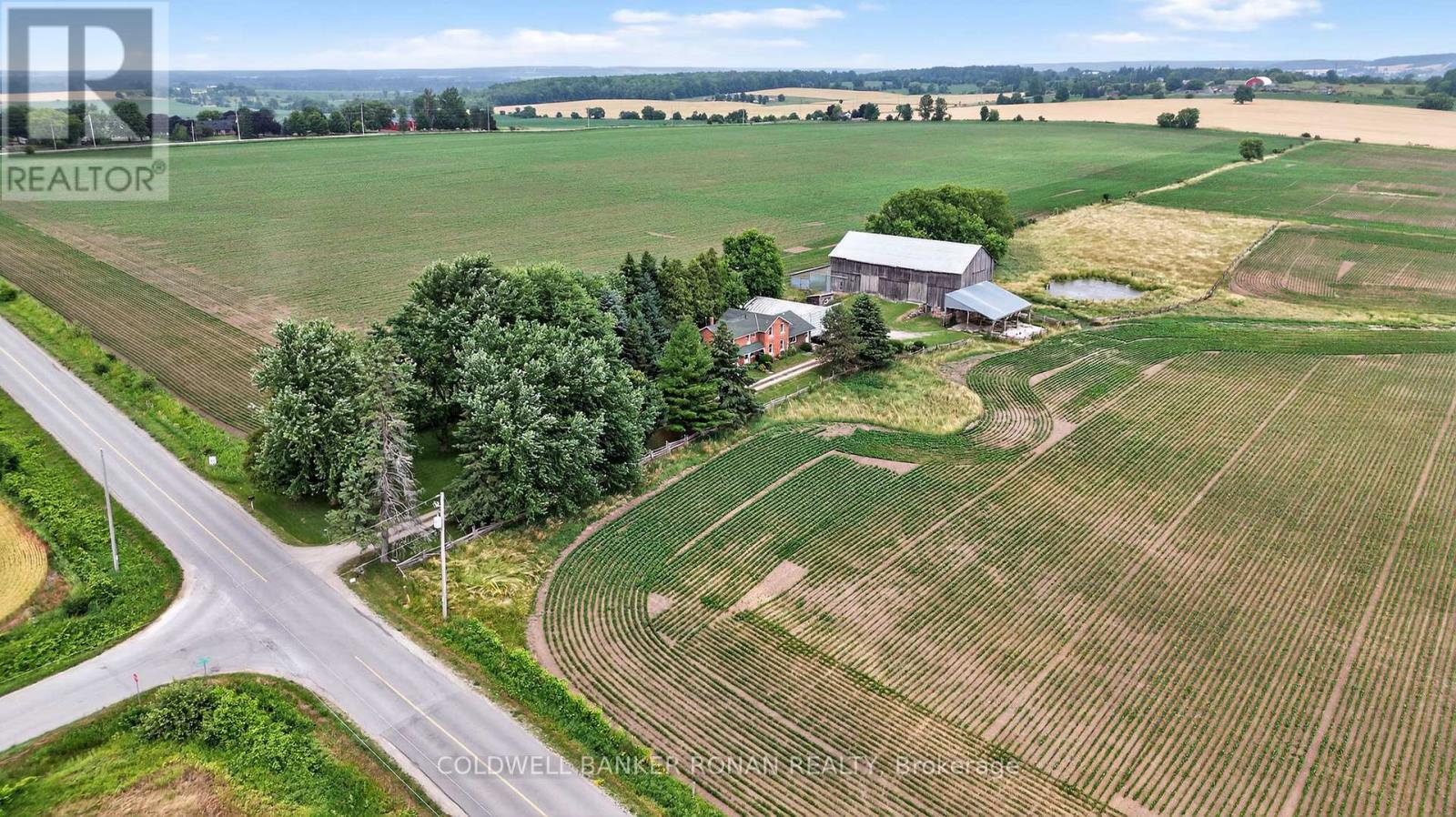 2577 Adjala-Tecumseth Townline, New Tecumseth, Ontario  L0G 1W0 - Photo 5 - N12287847