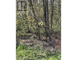 145 COURTLAND STREET, Ramara, Ontario