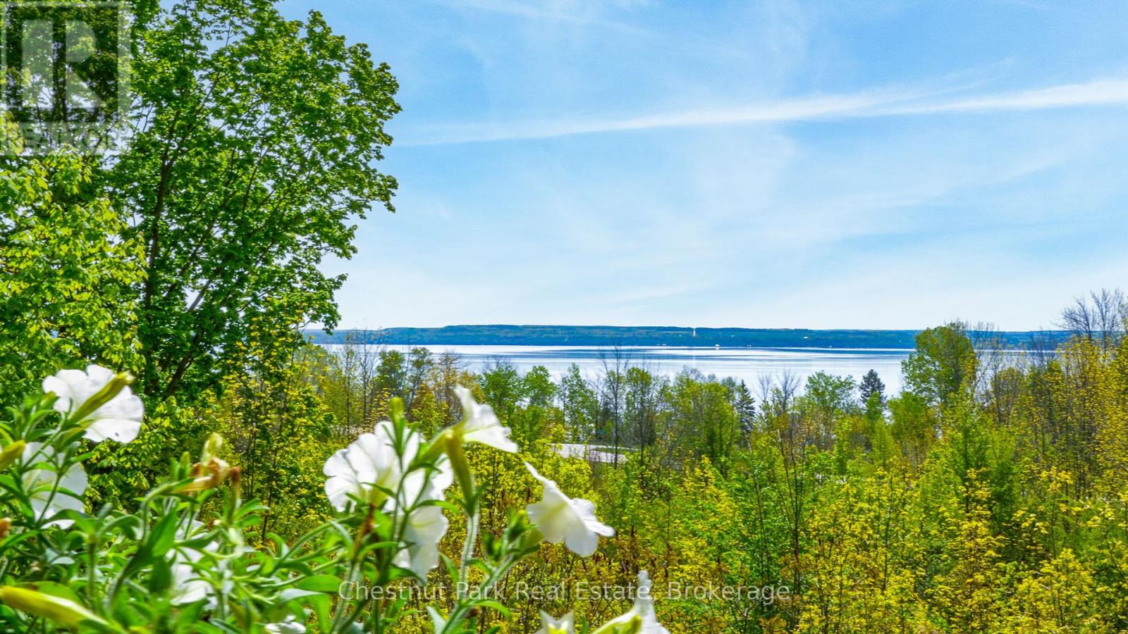 505720 Grey Road 1, Georgian Bluffs, Ontario  N0H 1S0 - Photo 36 - X12184499