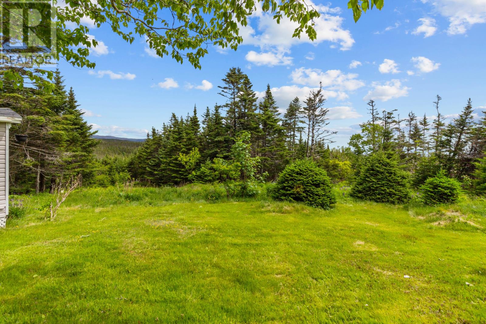 204 Vineland Road, Salmonier, Newfoundland & Labrador  A0A 2R0 - Photo 20 - 1287899
