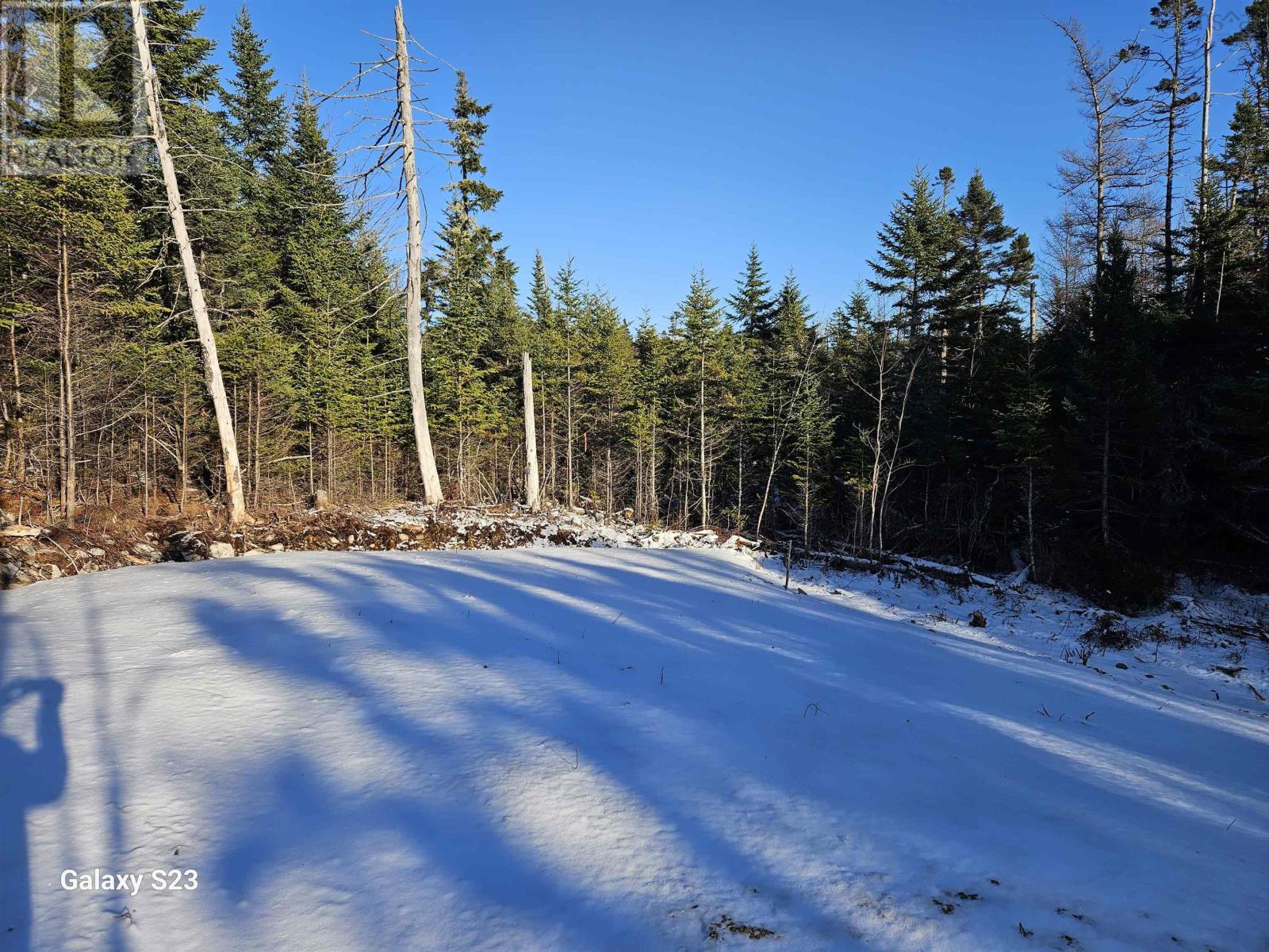 165 Ostrea Lake Road, Musquodoboit Harbour, Nova Scotia  B2Z 1E9 - Photo 9 - 202509546