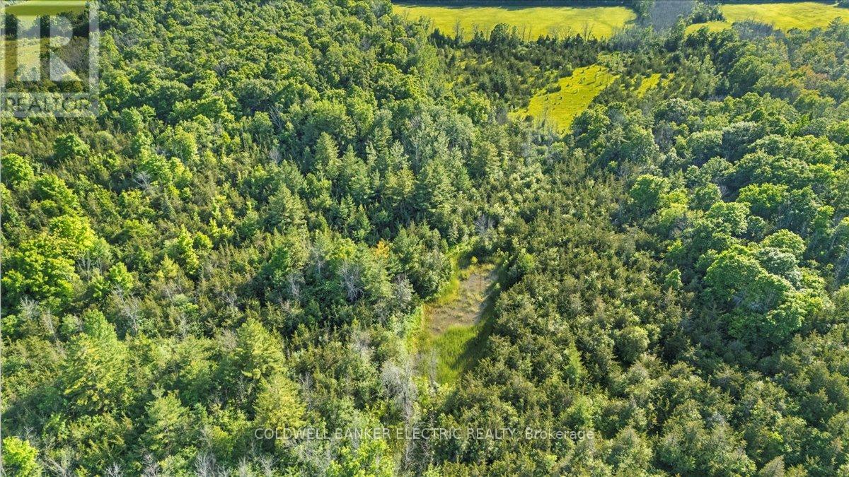 15 Mcintyre Road, Prince Edward County, Ontario  K0K 1A0 - Photo 48 - X12231905