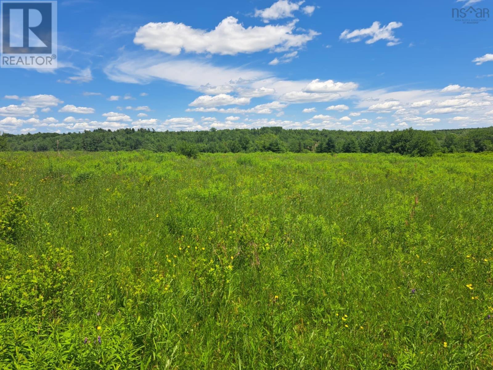 Lot 2 Lake Egmont Road, Lake Egmont, Nova Scotia  B0N 1Y0 - Photo 2 - 202504080