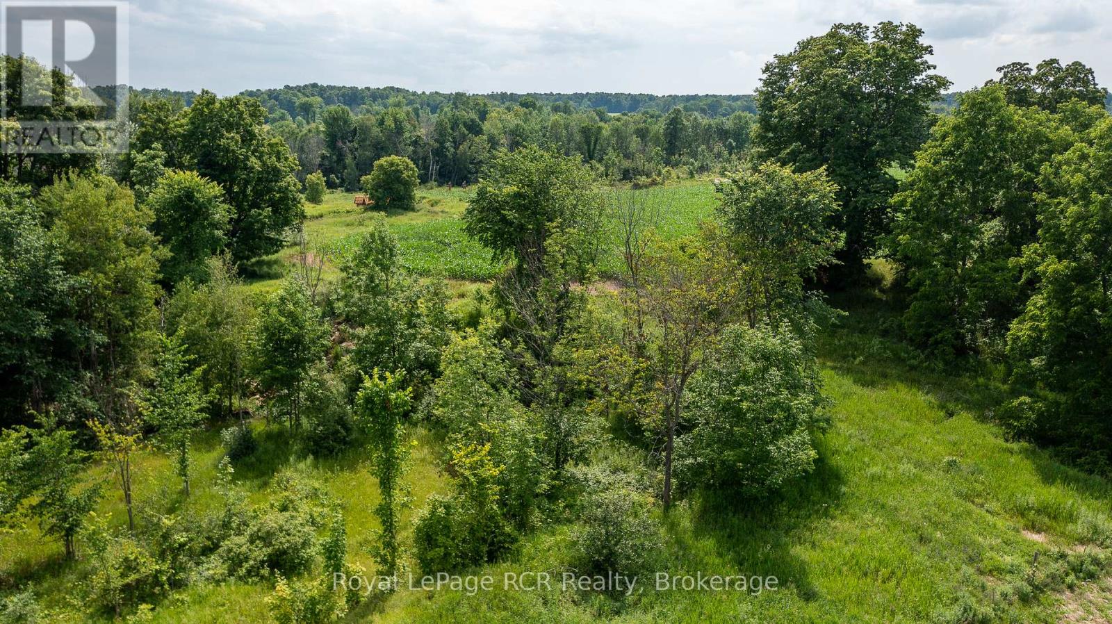 Pt Lt 11 Grey Rd 18, Georgian Bluffs, Ontario  N4K 5N5 - Photo 10 - X12288275