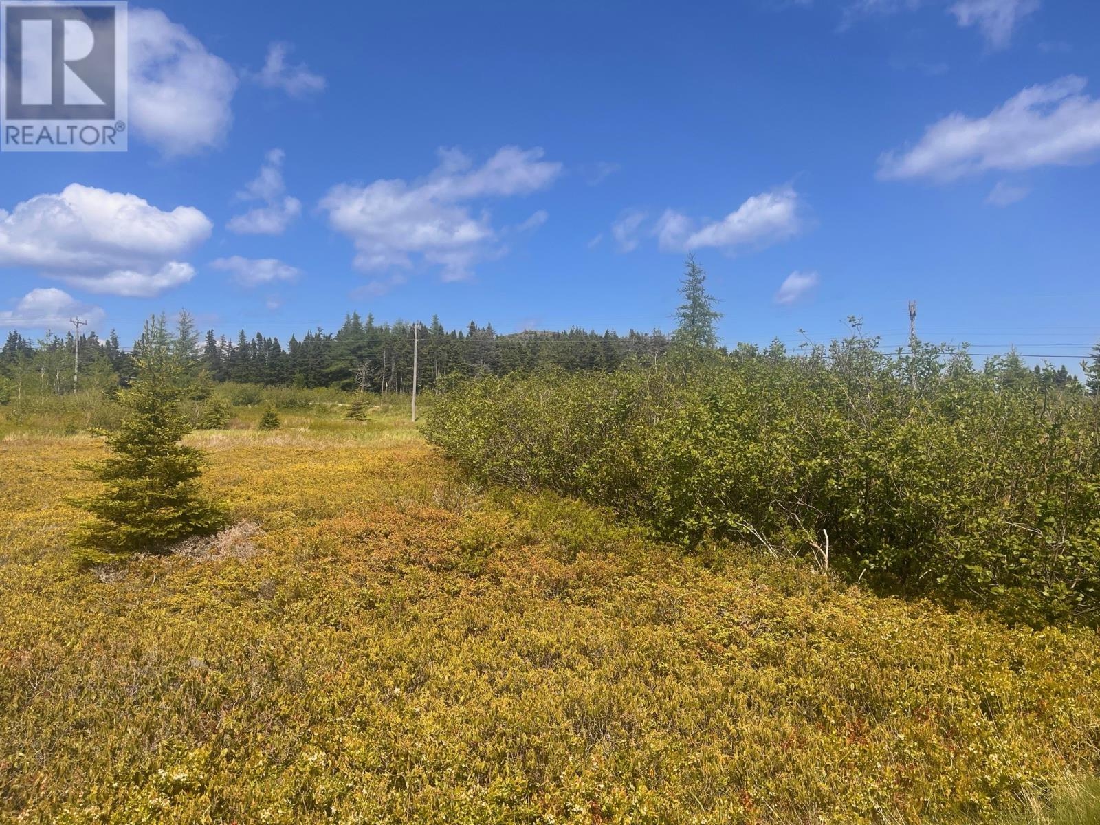 125-147 Main Road, Blackhead, Newfoundland & Labrador  A0A 1L0 - Photo 2 - 1287950