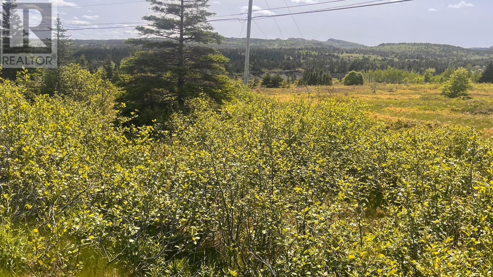 125-147 Main Road, Blackhead, Newfoundland & Labrador  A0A 1L0 - Photo 3 - 1287950