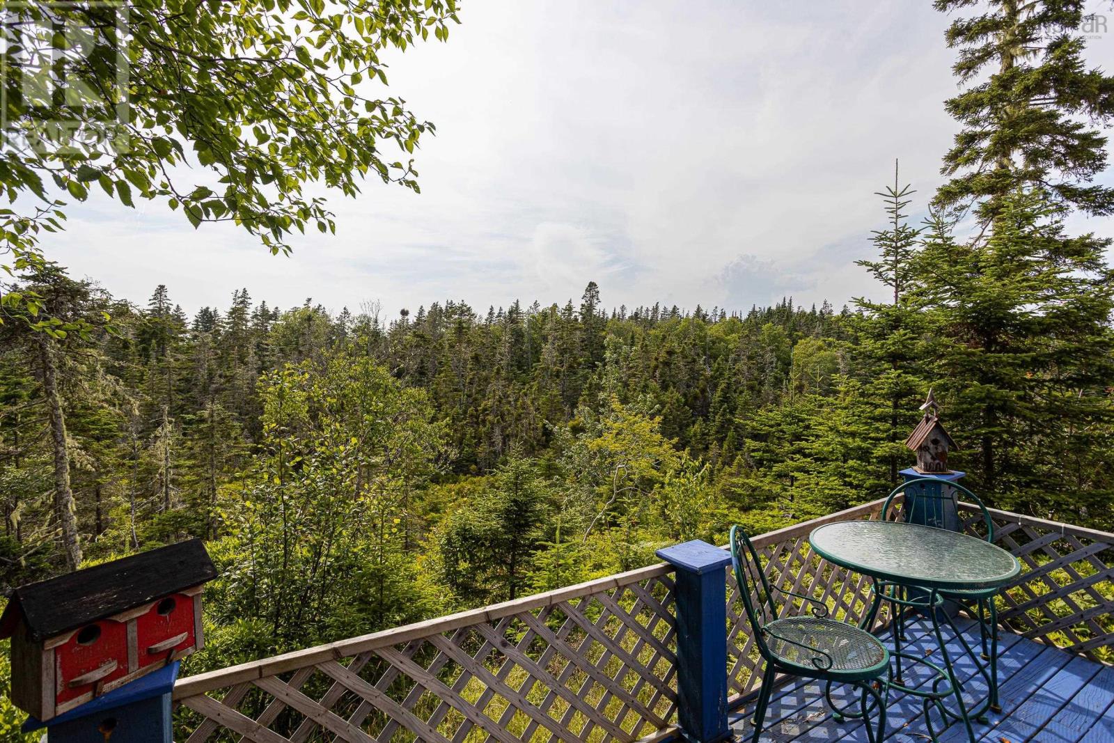 80 Paddy's Head Road, Indian Harbour, Nova Scotia  B3Z 3N8 - Photo 10 - 202517716