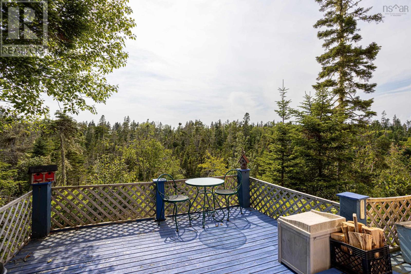 80 Paddy's Head Road, Indian Harbour, Nova Scotia  B3Z 3N8 - Photo 8 - 202517716