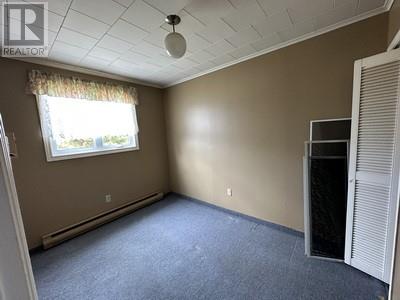 3 Old Highway, Lead Cove, Newfoundland & Labrador  A0B 1H0 - Photo 17 - 1287898