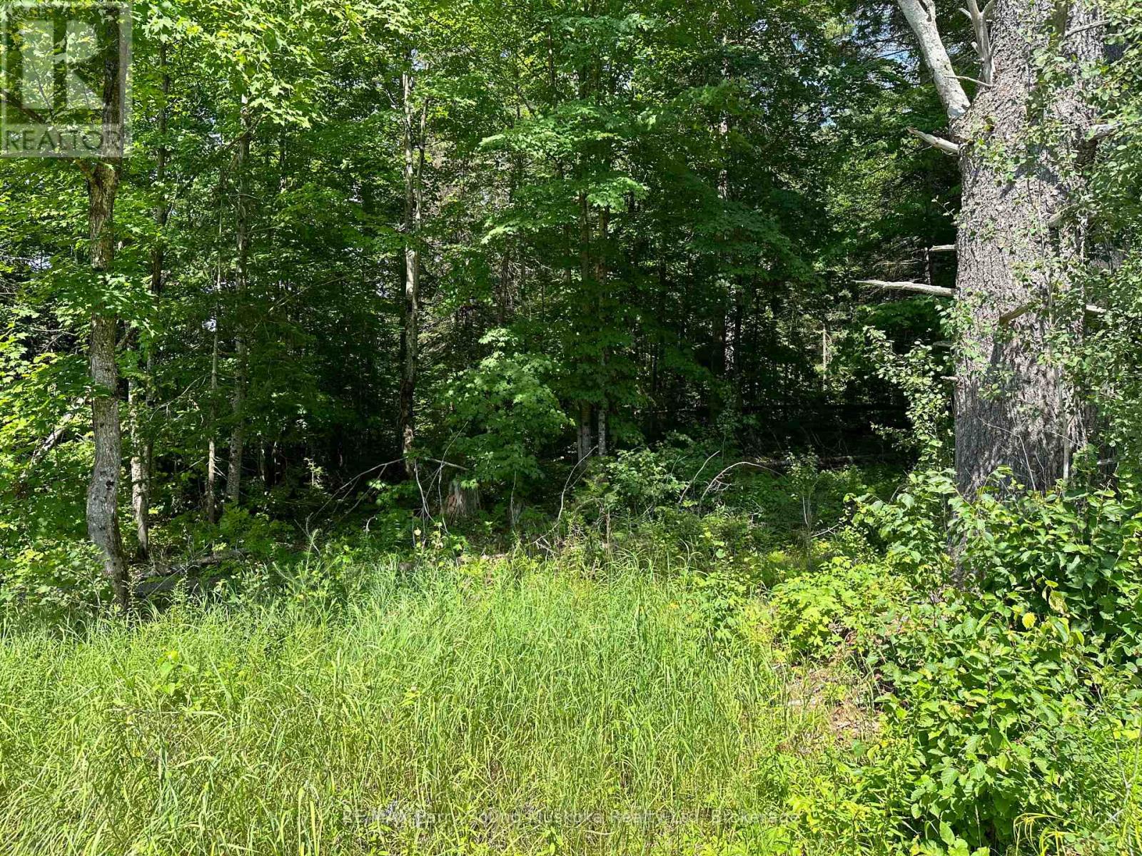 0 Blackwater Road, Mckellar, Ontario  P2A 0B5 - Photo 8 - X12167764