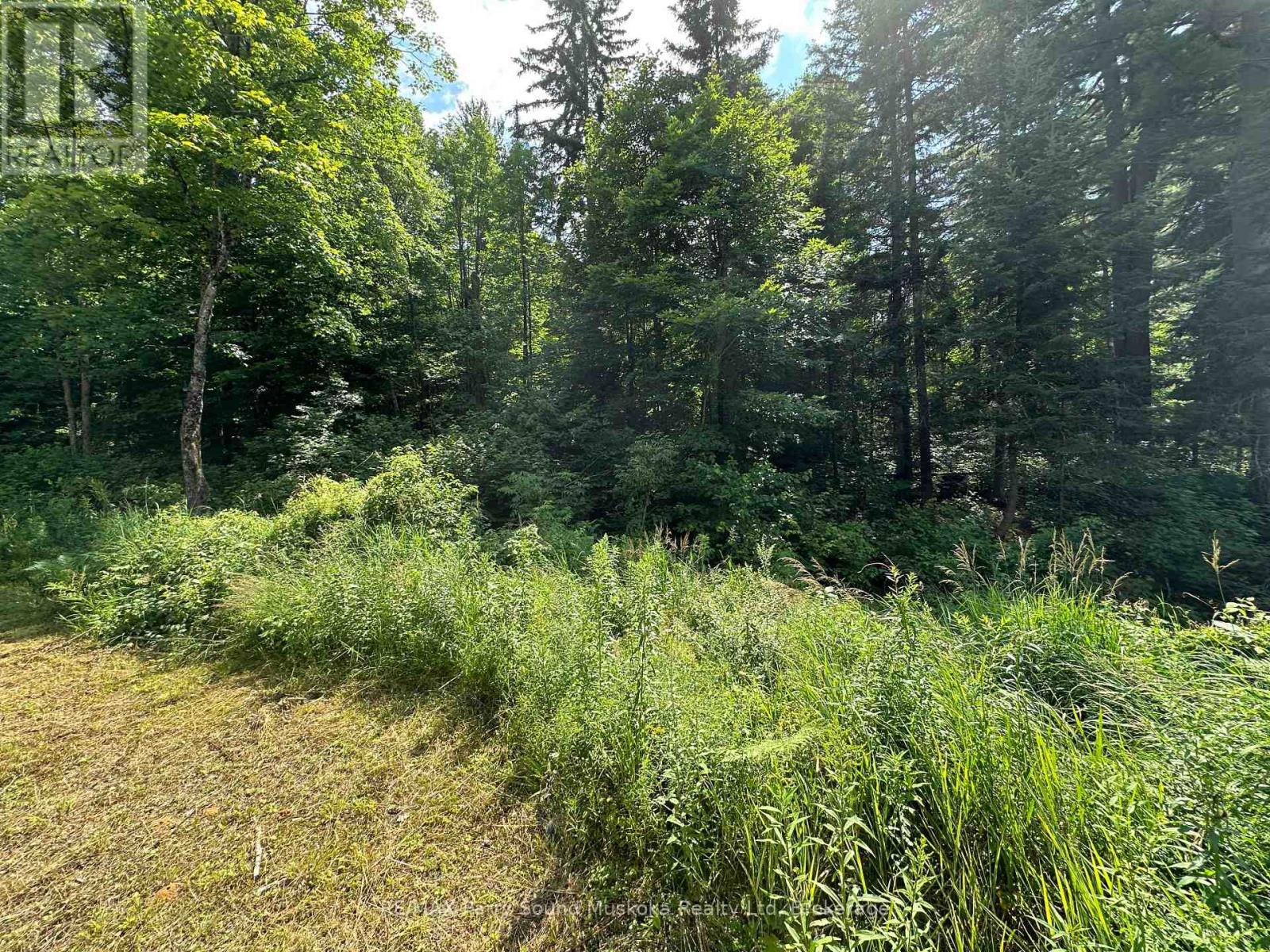 0 Blackwater Road, Mckellar, Ontario  P2A 0B5 - Photo 18 - X12167764